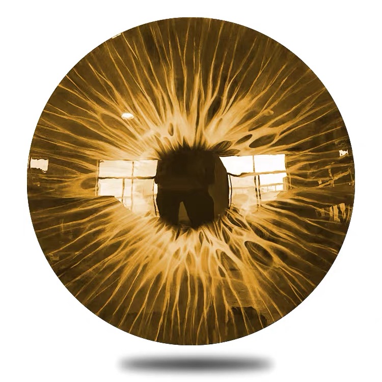 Resin Iris Eye Round Wall Decor